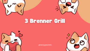 3 Brenner Grill