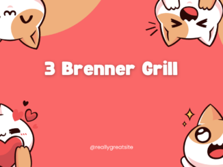 3 Brenner Grill