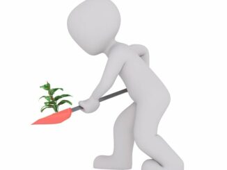 Mulchschicht Aus Rasenschnitt