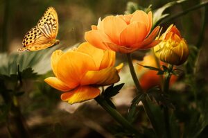 Welche Blumen Halten Lange