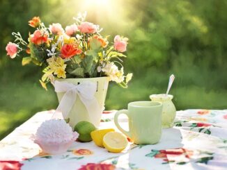 Welche Blumen Für Balkon