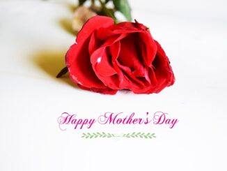 Blumenstrauß Am Nächsten Tag Verschenken