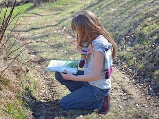 Anemone Weiß Schwarz