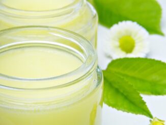 Wie Hoch Ist Eine Tulpe