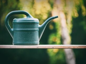 Hasen Aus Garten Vertreiben