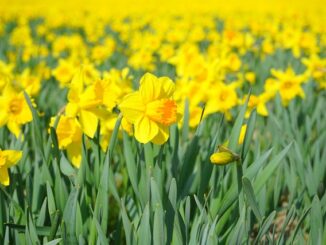 Www Keimzeit Versand De