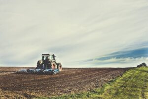 Niedriges Hochbeet Befüllen