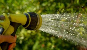 4 Tipps für die optimale Wasserversorgung im Garten