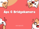 Aps C Bridgekamera