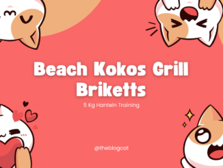 Beach Kokos Grill Briketts