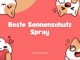 Beste Sonnenschutz Spray