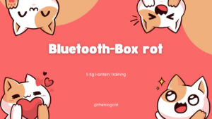 Bluetooth-Box rot