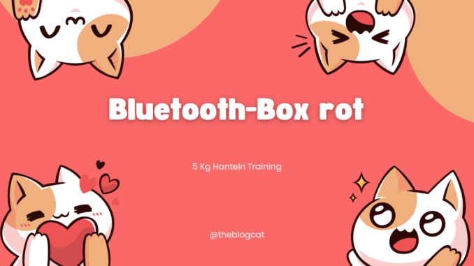 Bluetooth-Box rot