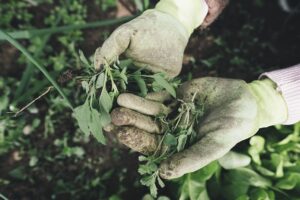 Die 4 größten Herausforderungen im Garten