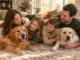 Die besten Familienhunde