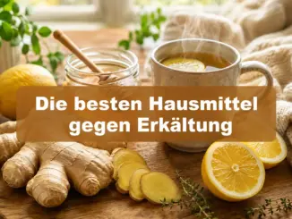 Die besten Hausmittel gegen Erkältung