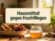 Die besten Hausmittel gegen Fruchtfliegen
