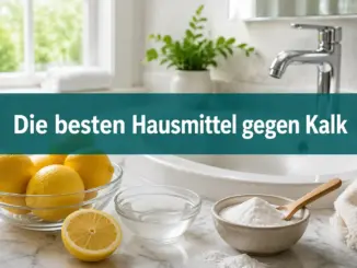 Die besten Hausmittel gegen Kalk