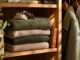 Die besten Hausmittel gegen Motten im Kleiderschrank
