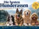 Die besten Hunderassen