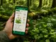 Die besten Pflanzenbestimmungs-Apps im Vergleich