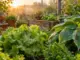 Die besten Tipps gegen Schnecken im Garten