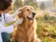 Die besten Tipps gegen Zecken beim Hund