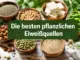 Die besten pflanzlichen Eiweißquellen