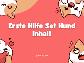 Erste Hilfe Set Hund Inhalt