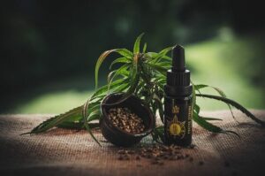 Stiftung Warentest: CBD-Produkte schneiden schlecht ab