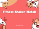 Fitness Shaker Metall