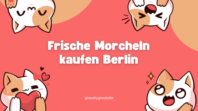 Frische Morcheln kaufen Berlin