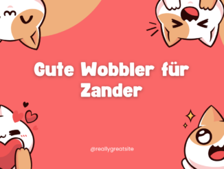 Gute Wobbler für Zander