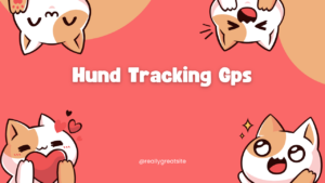 Hund Tracking Gps