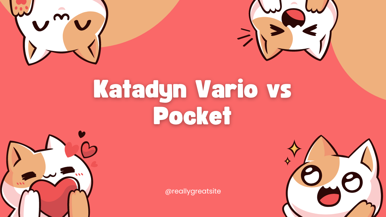 Katadyn Vario vs Pocket