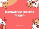 Lumbotrain Nachts tragen