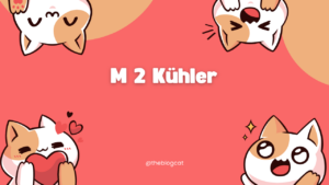 M 2 Kühler