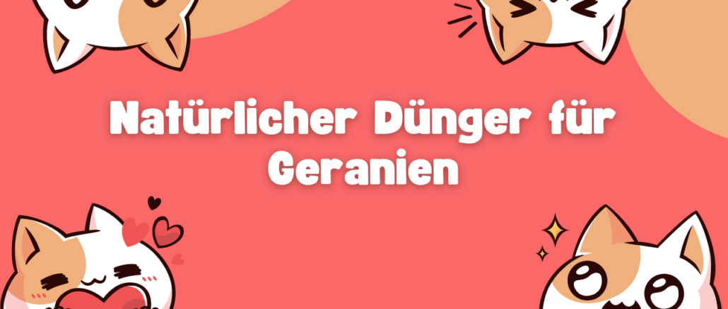 Natürlicher Dünger für Geranien