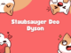 Staubsauger Deo Dyson