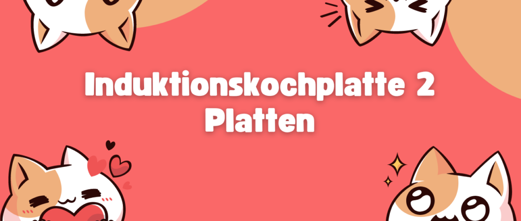 Induktionskochplatte 2 Platten