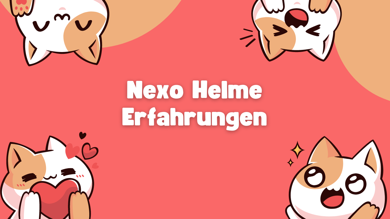 Nexo Helme Erfahrungen