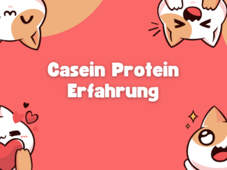 Casein Protein Erfahrung