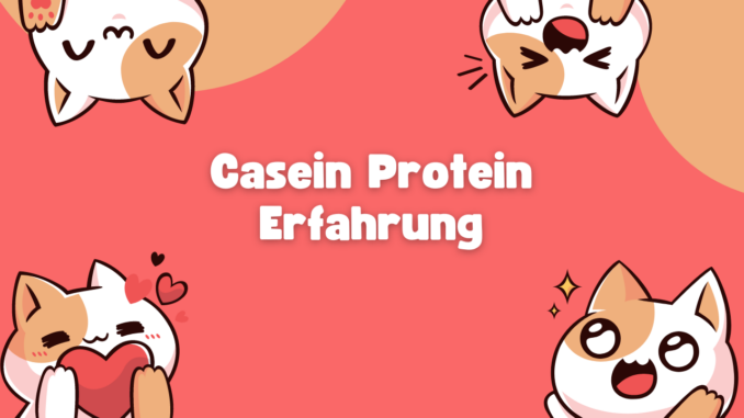 Casein Protein Erfahrung