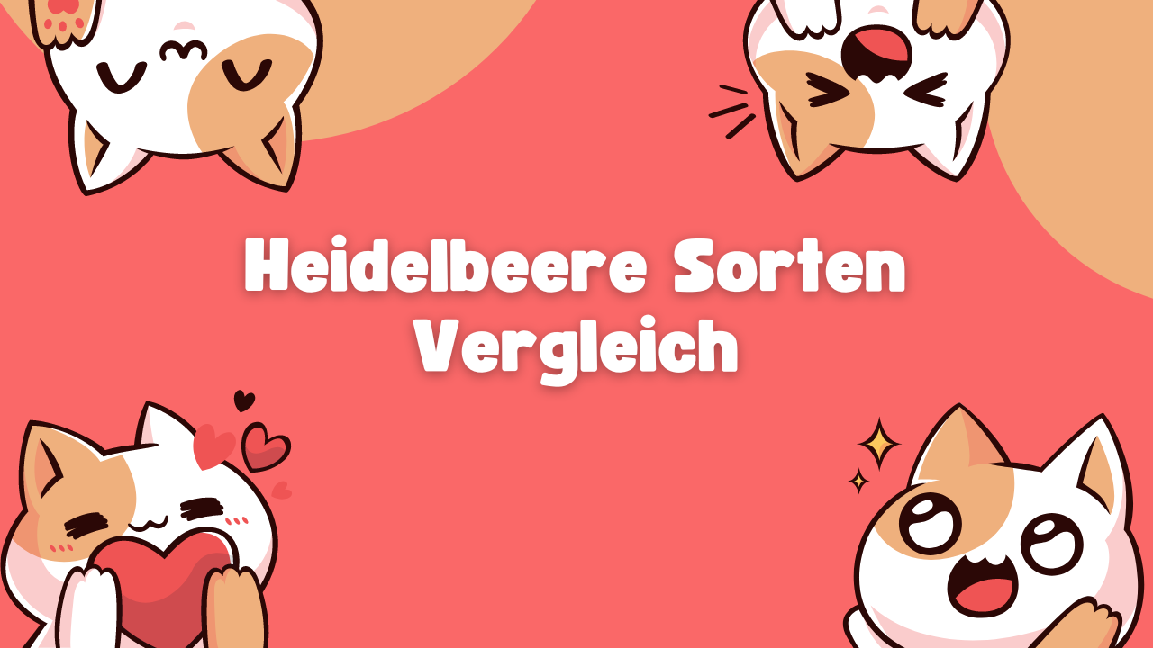 Heidelbeere Sorten Vergleich