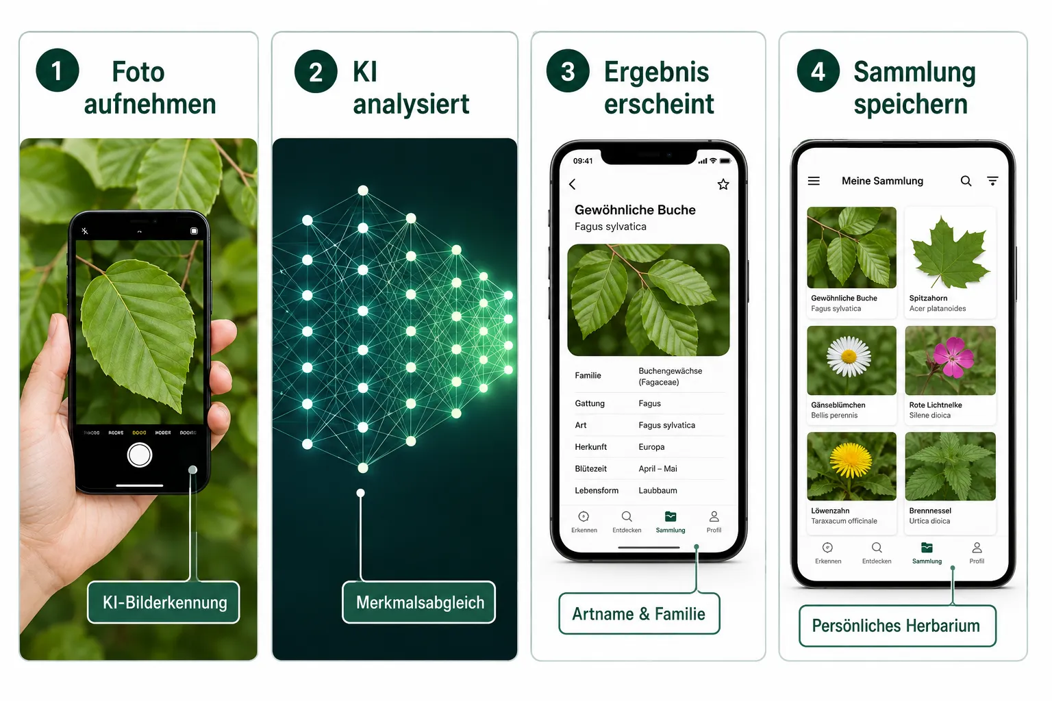 Die besten Pflanzenbestimmungs-Apps im Vergleich 1 Was ist eine Pflanzenbestimmungs-App und wie funktioniert sie?