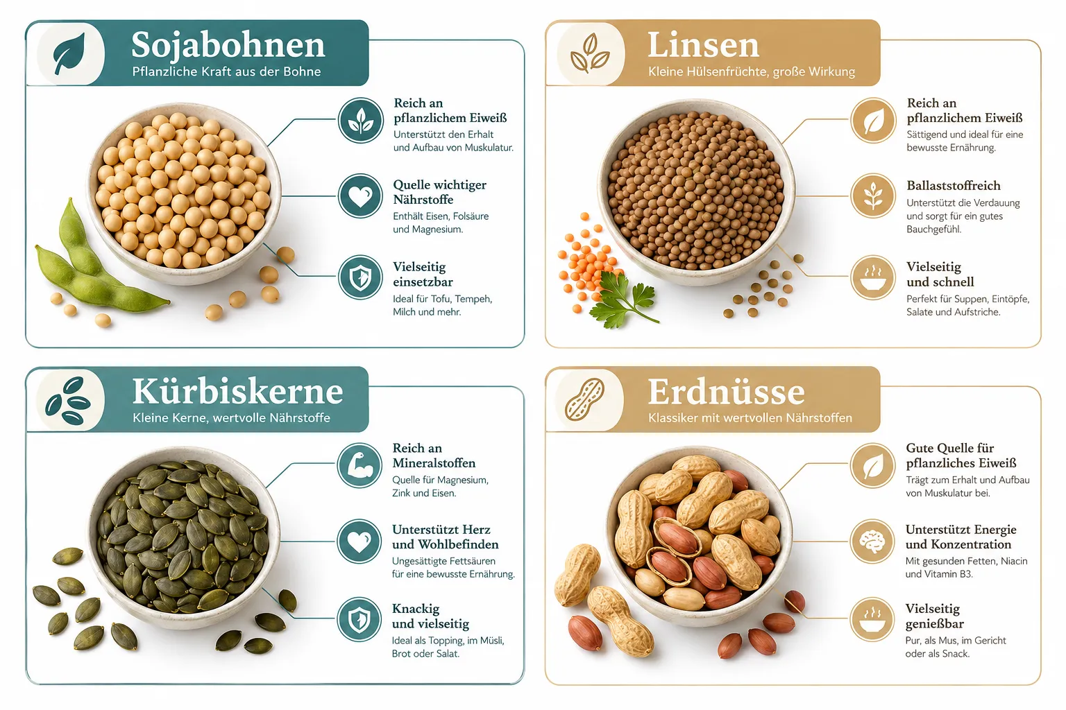 Welche pflanzlichen Eiweißquellen haben den höchsten Proteingehalt?