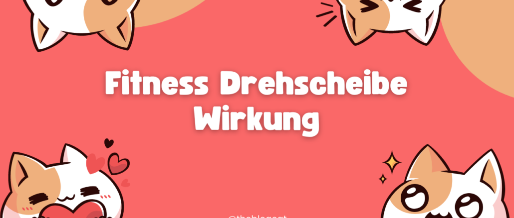 Fitness Drehscheibe Wirkung