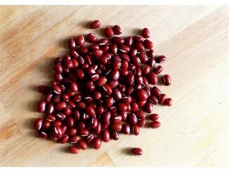 Adzukibohnen als neues Superfood entdeckt