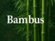 Asiatische Naturmystik im Gaming: Bambus als Symbol für Glück und Wachstum 4