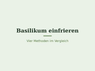 Basilikum einfrieren – Titelbild